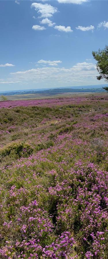 Bed and Breakfast Floyter House North Yorkshire Moors National Park Danby Exteriér fotografie