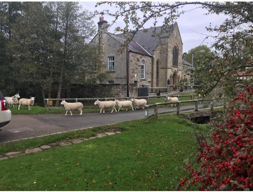 Bed and Breakfast Floyter House North Yorkshire Moors National Park Danby Exteriér fotografie
